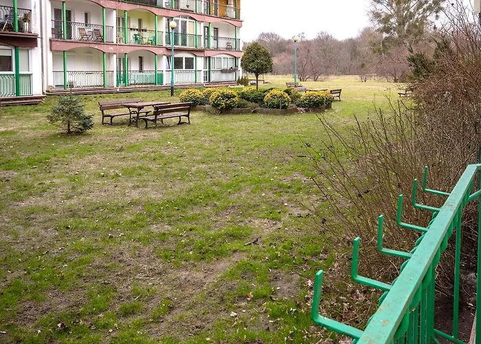 Silver - Acco Rent * 소포트