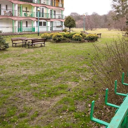 Silver - Acco Rent * Sopot