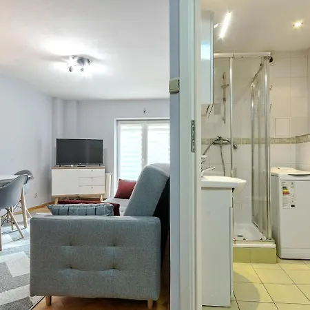 Silver - Acco Rent *